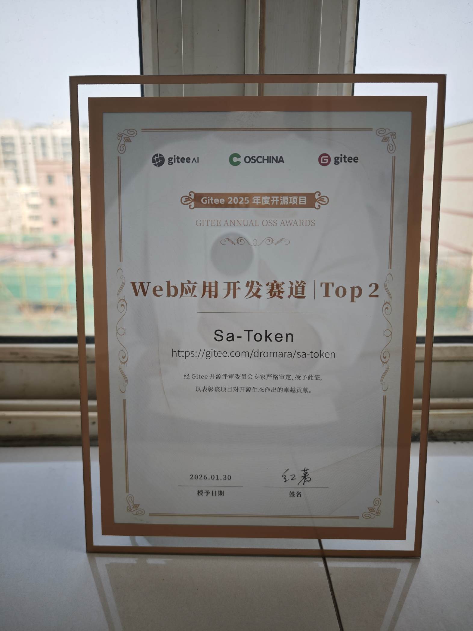 Gitee 2025年度开源项目 Web应用开发 Top 2