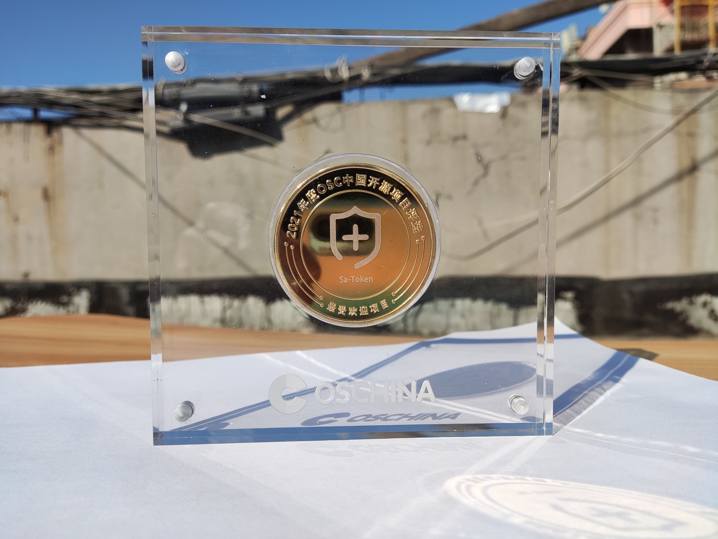 OSCHINA 2021 人气指数 TOP 30 开源项目